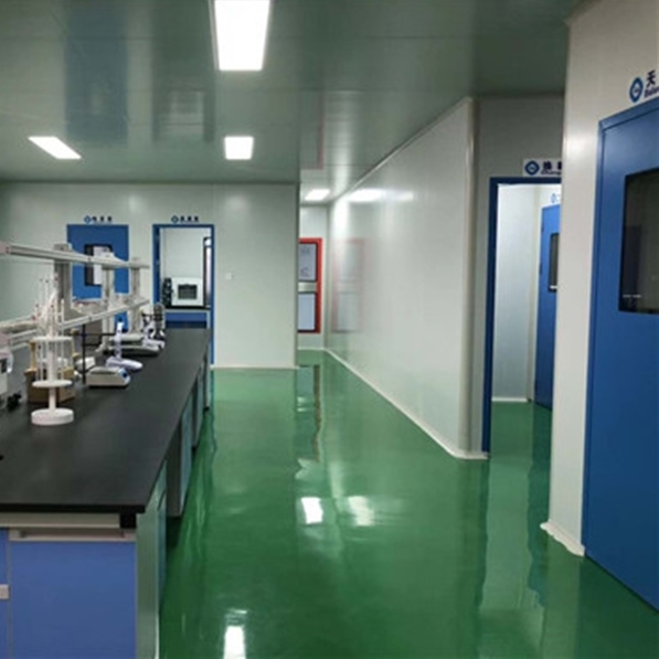 四川实验室环氧自流坪洁净走廊